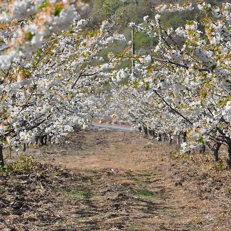 2br River Historic Village * Castelo Novo
