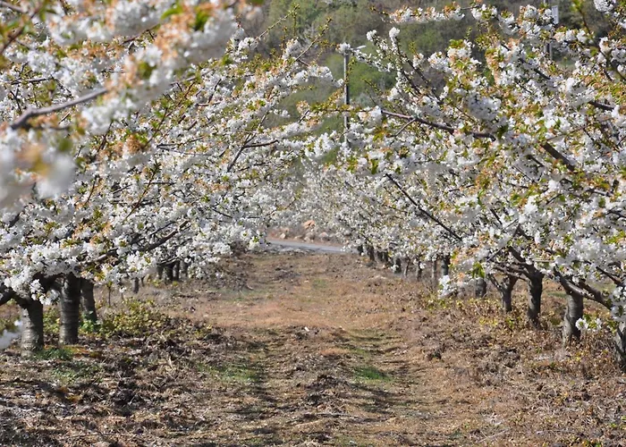 2br River Historic Village * Castelo Novo